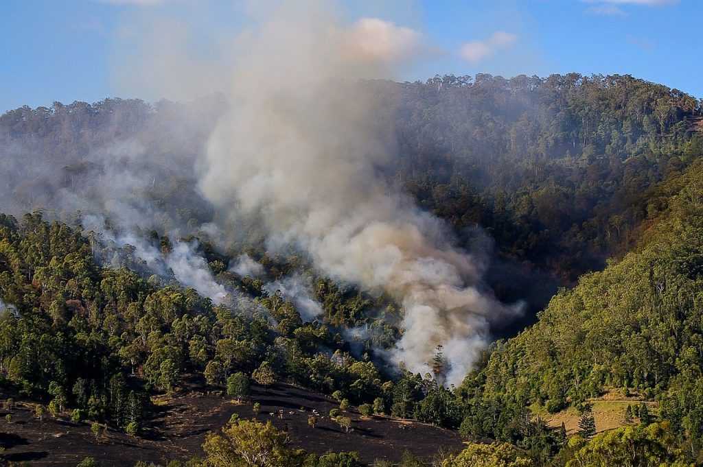 fire, smoke, bushfire, bush, trees, wildfire, hills, burn, danger, heat, australia, bushfire, bushfire, bushfire, bushfire, bushfire, wildfire, wildfire, wildfire-671555.jpg
